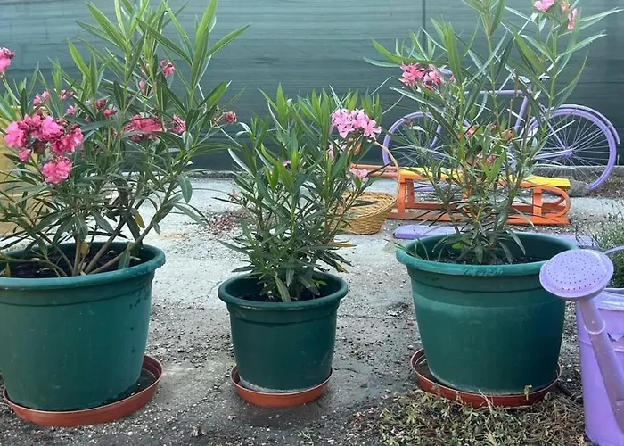 Dom Pri Kupalisku Thermalpark Na Malotejedskej בית נופש *